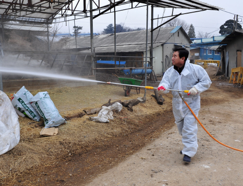 김성남 행정자치위원장 농업경영인협회 회원들과 함께 구제역 방역