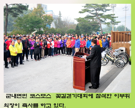 군내면민 코스모스꽃길 걷기대회