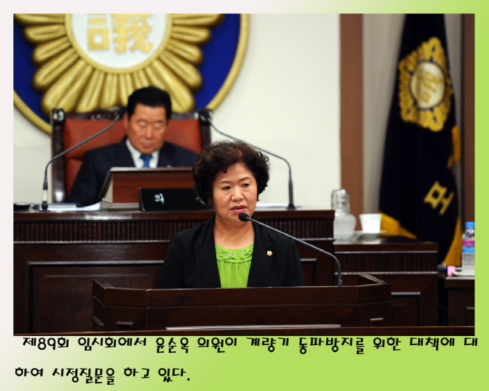 제89회 포천시의회 임시회 시정질문