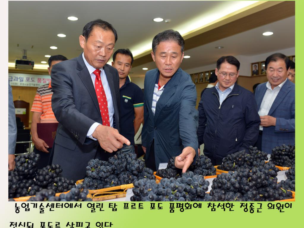 탑 프르트 포도 품평회