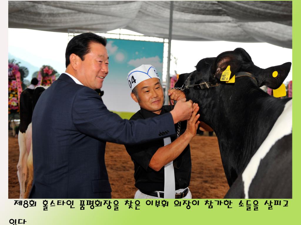제8회 홀스타인 품평회