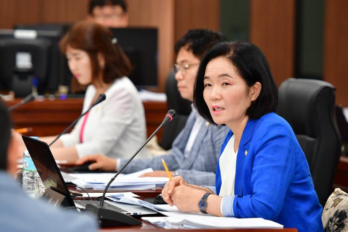 180725 조례 등 심사특별위원회 - 4