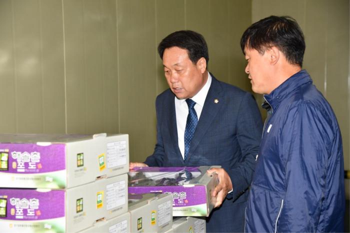 180920 지역 경제 활력을 위한 포도 판매농가 격려 - 6