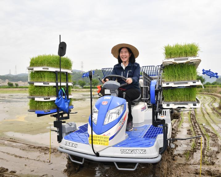 모내기 행사 - 6