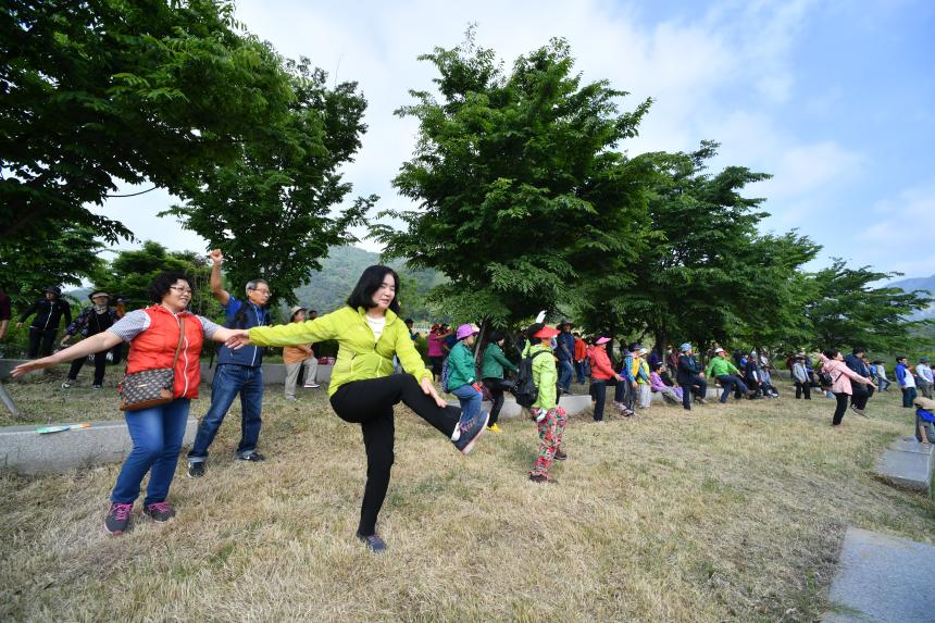 창수면 가족건강 걷기대회 - 3