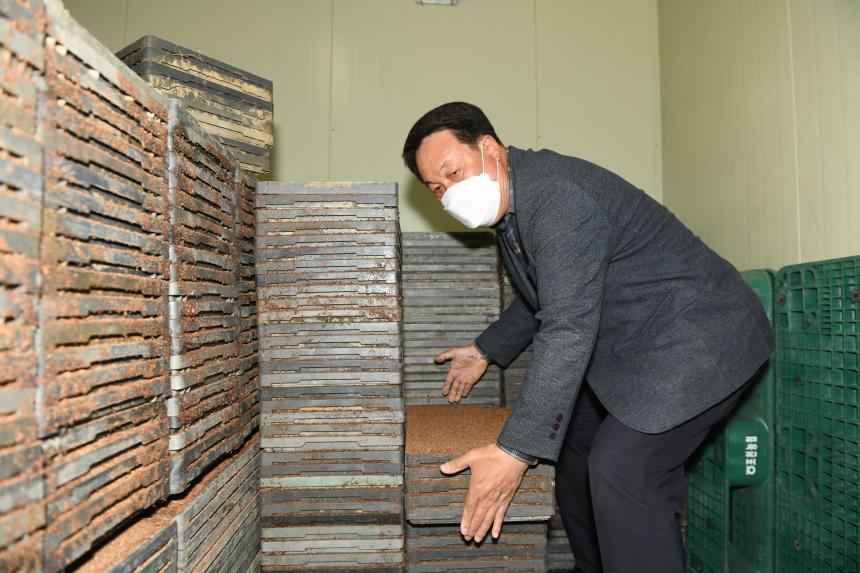 포천농협 공동 육묘장 못자리