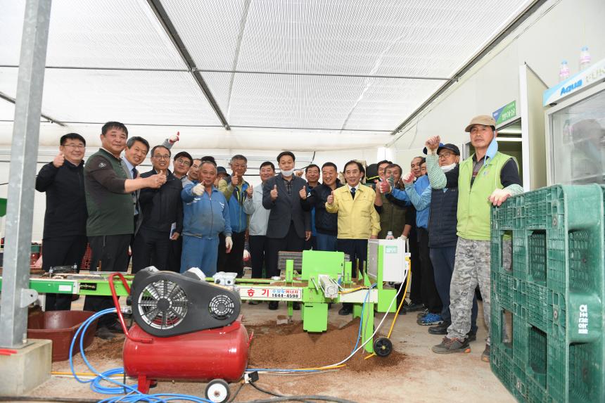 포천농협 공동 육묘장 못자리 - 3