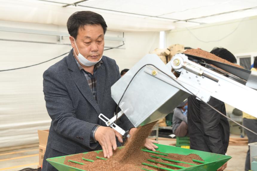 포천농협 공동 육묘장 못자리 - 4