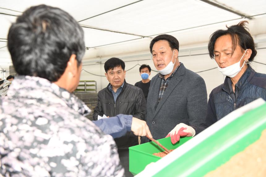 포천농협 공동 육묘장 못자리 - 5