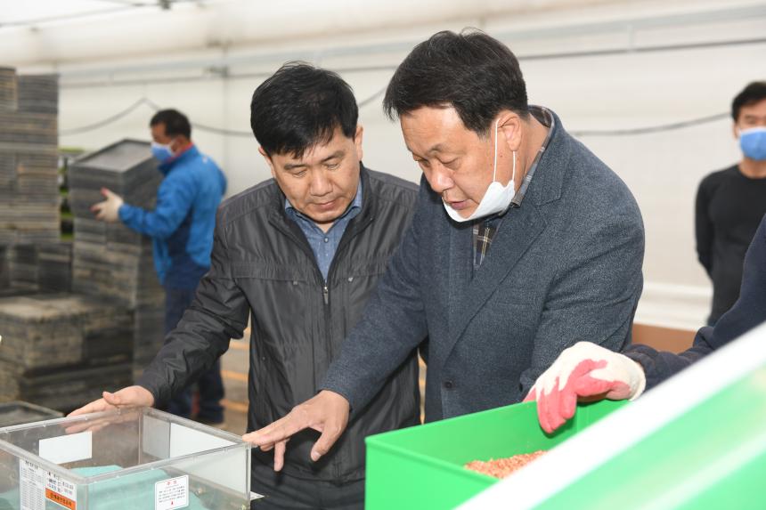 포천농협 공동 육묘장 못자리 - 6