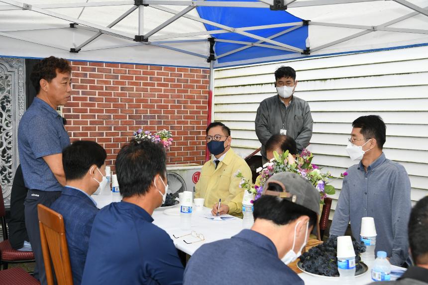 포도수확 현장 방문 - 10