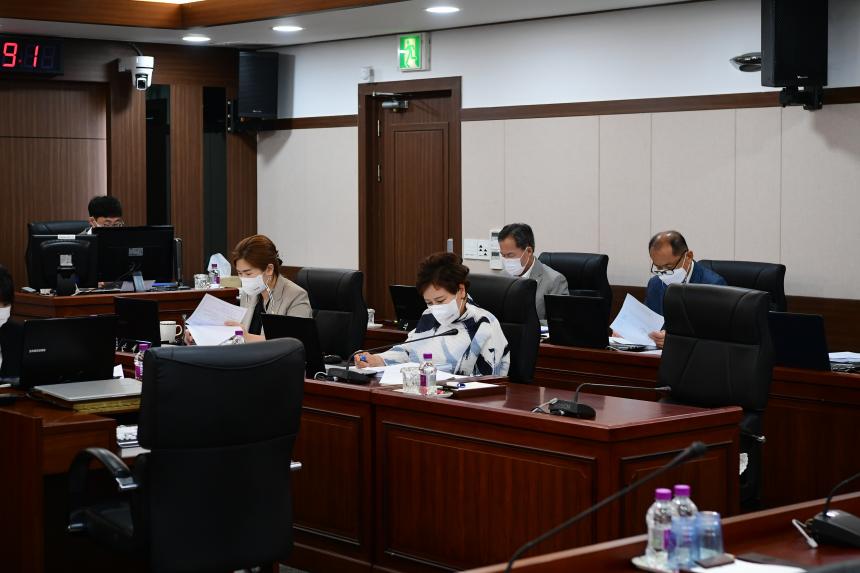 제165회 임시회 조례특위 - 3