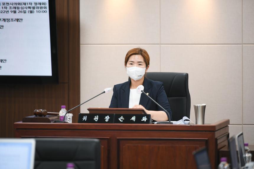 제166회 포천시의회 제1차 정례회 제1차 조례등심사특별위원회 - 4