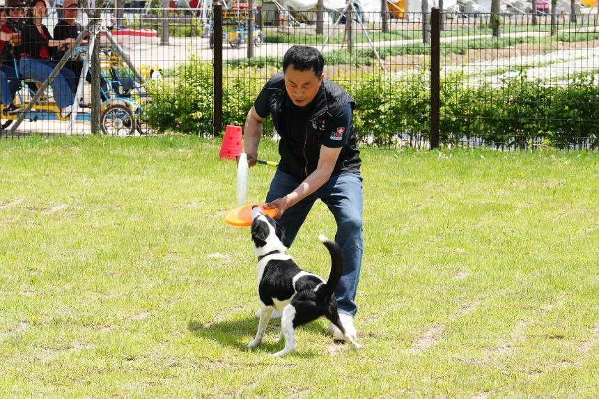 포천 반려동물 문화축제 - 10