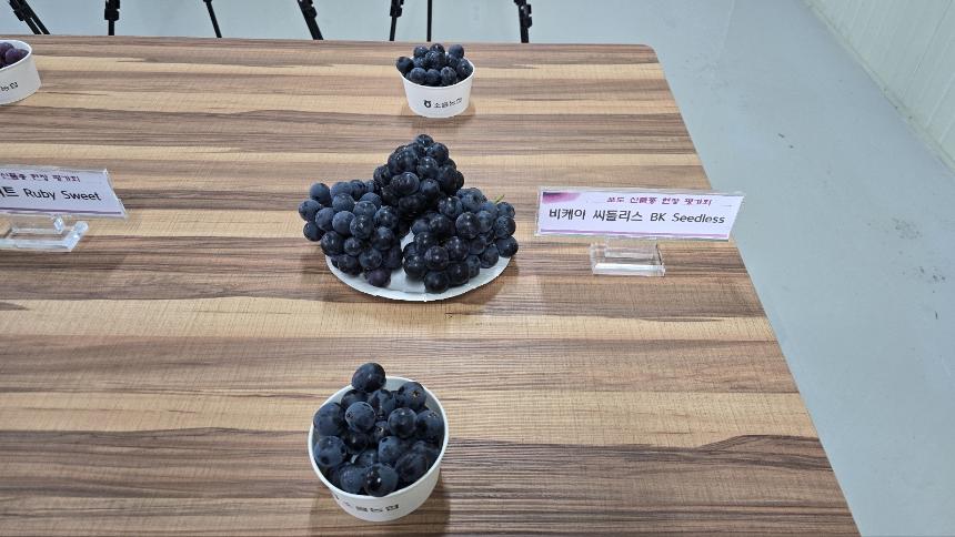 포도 신품종 현장평가회 - 30