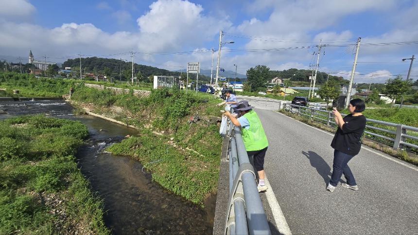 포천시 자연보호협회 다슬기 방류 행사 - 6