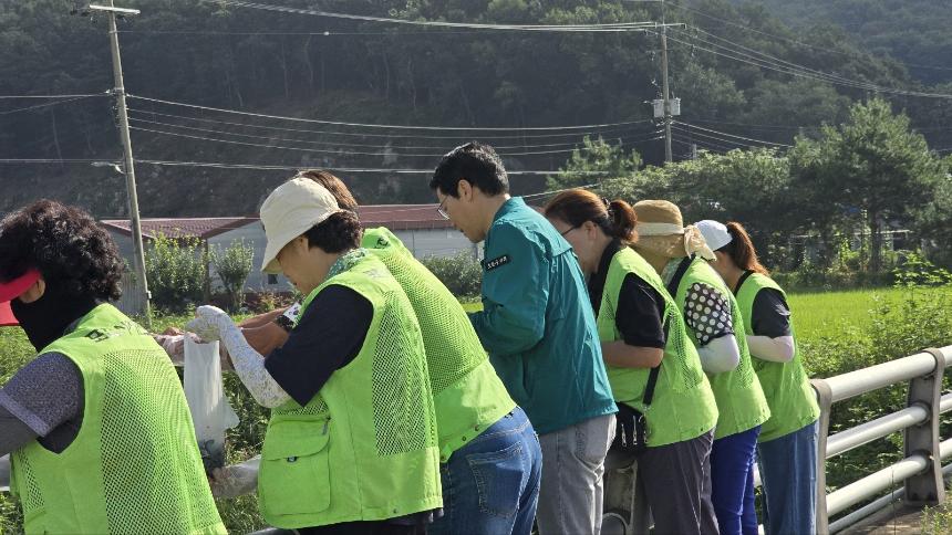 포천시 자연보호협회 다슬기 방류 행사 - 11