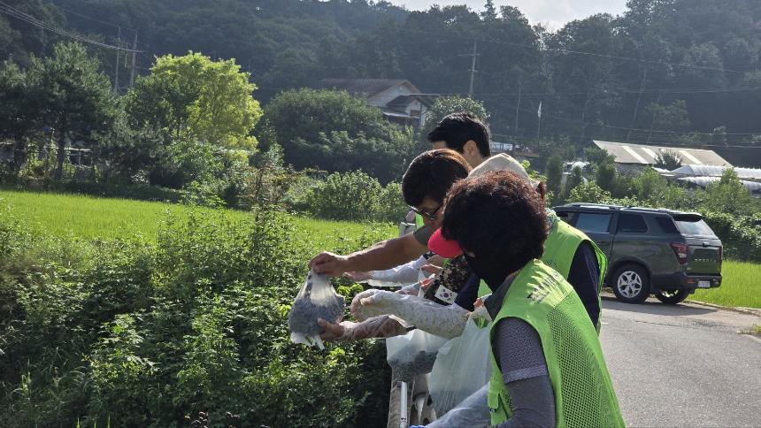 포천시 자연보호협회 다슬기 방류 행사 - 13