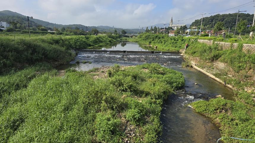 포천시 자연보호협회 다슬기 방류 행사 - 22