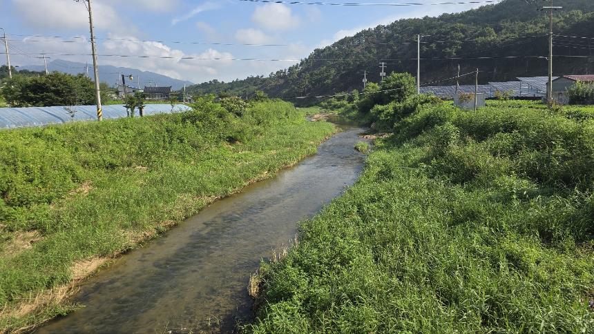 포천시 자연보호협회 다슬기 방류 행사 - 23