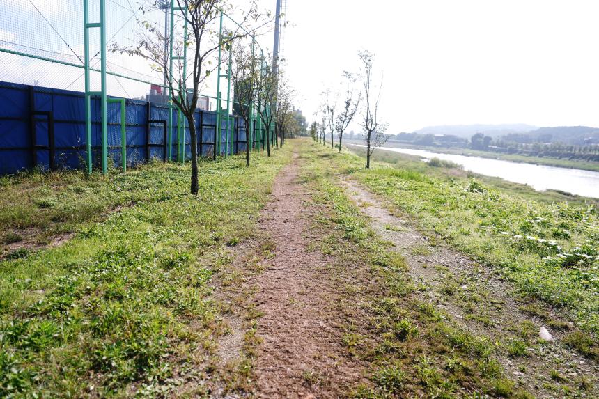 창수면 오가리 포천야구장 현장방문 - 14