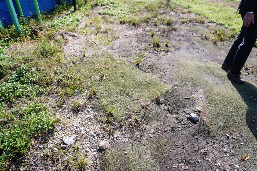 창수면 오가리 포천야구장 현장방문 - 18