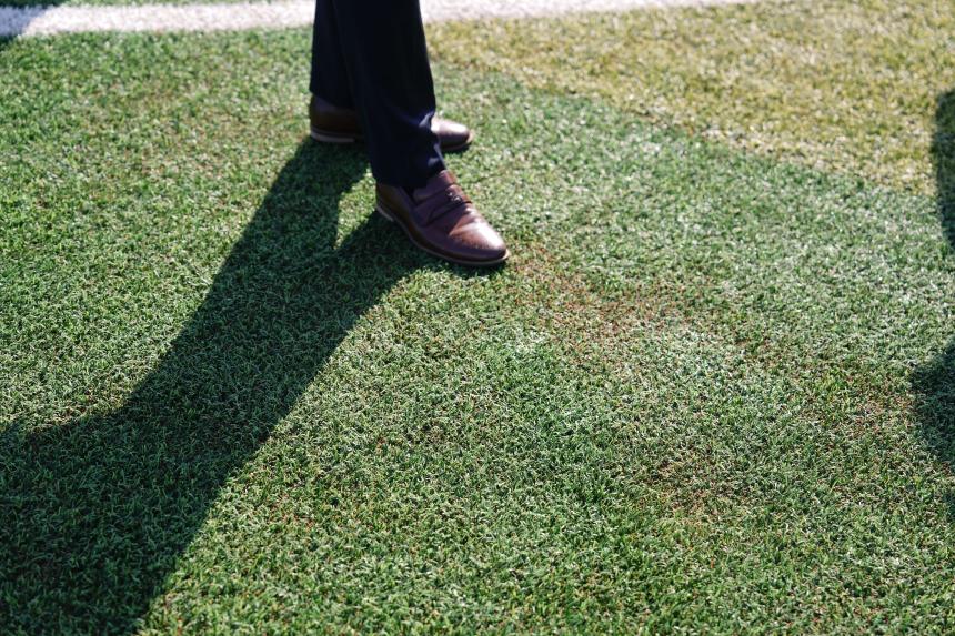 창수면 오가리 포천야구장 현장방문 - 38