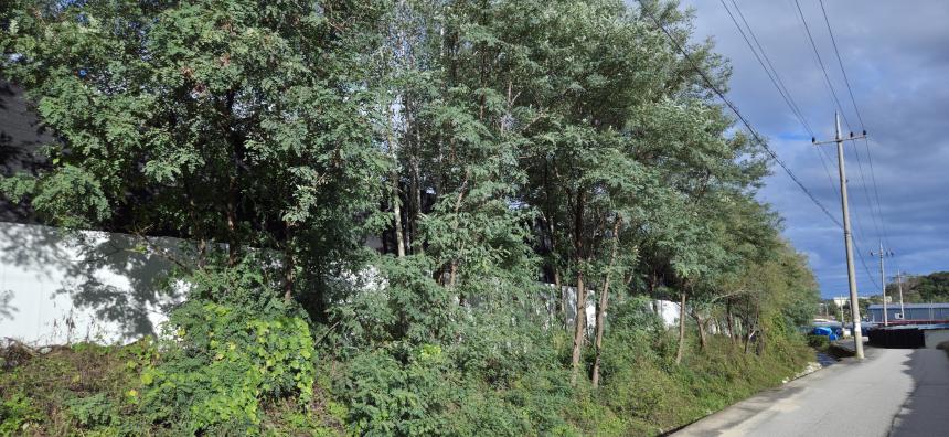 포천시 가농바이오 현장점검 - 18