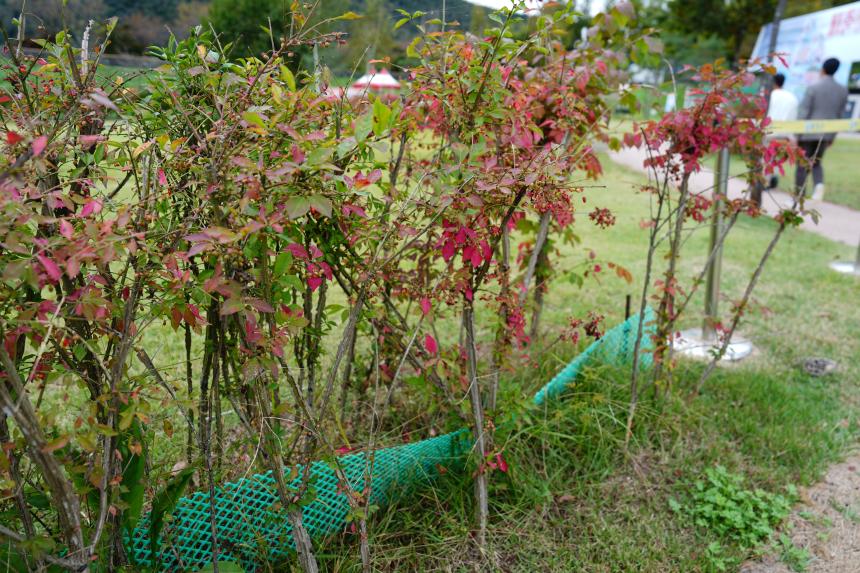 강원 화천군일원 파크골프장 벤치마킹 - 21