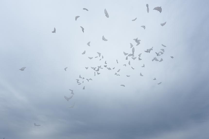 포천38 포천문화예술창작소 개관식 - 72