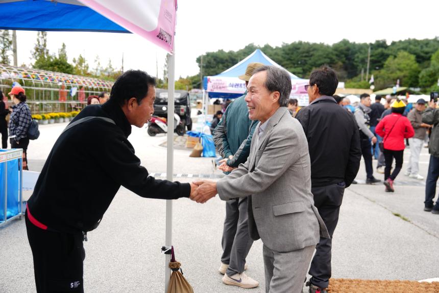 제20회 운악산 단풍축제_운악산광장 - 44
