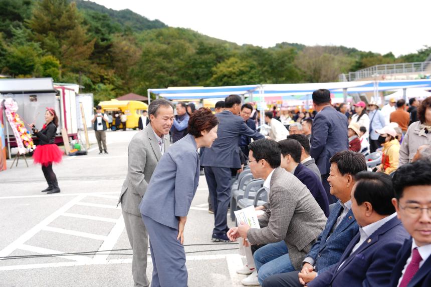 제20회 운악산 단풍축제_운악산광장 - 46