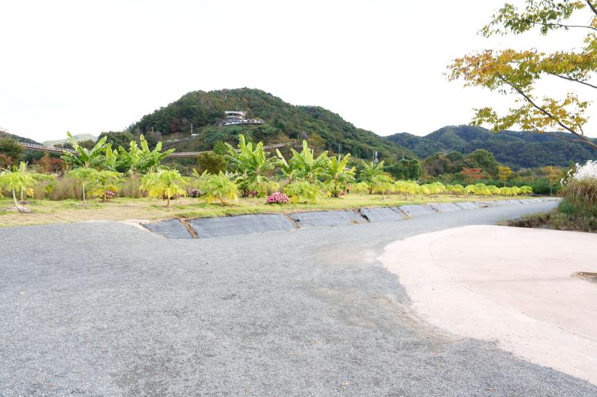 제188회 임시회 현장확인 및 점검 - 315