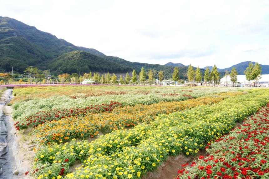 제188회 임시회 현장확인 및 점검 - 316