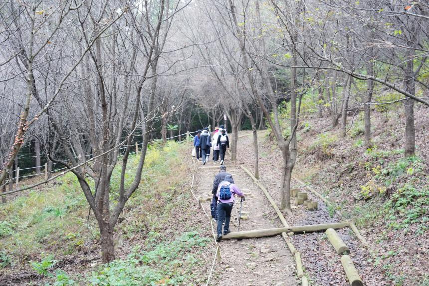 군내면 반월산 둘레길 걷기대회 - 35