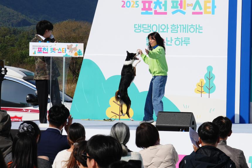 포천 펫pet 스타 축제 - 6