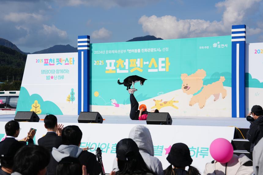포천 펫pet 스타 축제 - 9