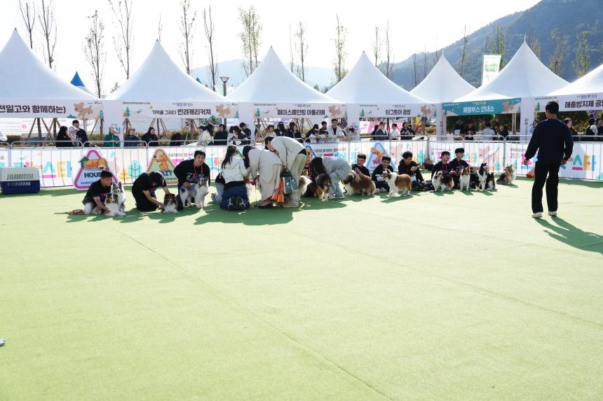 포천 펫pet 스타 축제 - 27
