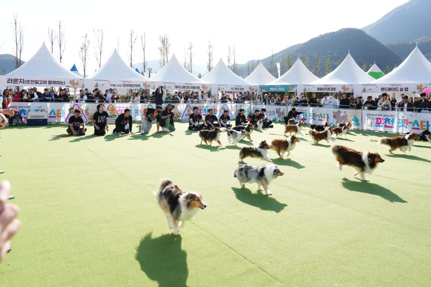 포천 펫pet 스타 축제 - 30