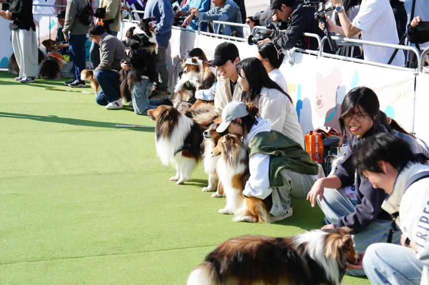 포천 펫pet 스타 축제 - 31
