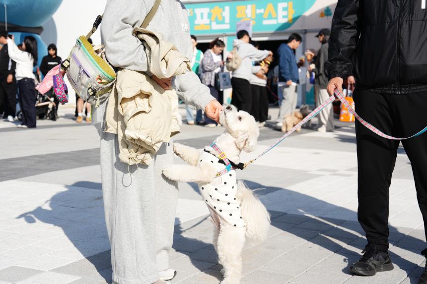 포천 펫pet 스타 축제 - 41