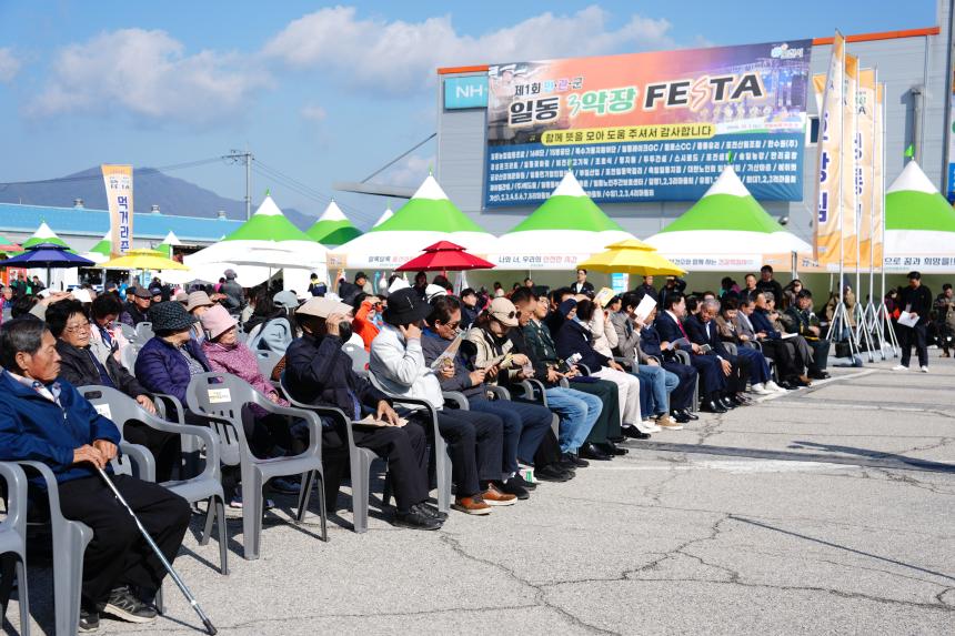 일동면 민관군 아름다운 가을축제 제1회 일동 3악장 페스타 - 66